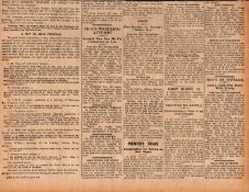 Irish War of Independence Reports IRA, Black & Tans, Hunger Strikes 1920-B