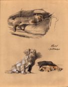 Cecil Aldin 1934 Vintage Dog Illustrations Chow And Pekinese-18.