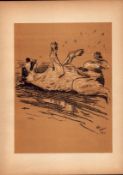 Cecil Aldin Antique Lovable Scamp Of a Terrier illustration A Dog Day -26.