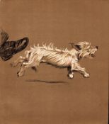 Cecil Aldin Original Antique Illustration Mac a White West Highland Terrier-17.
