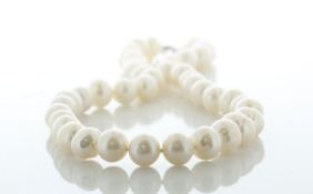 18 Inch Round Freshwater Cultured 9.5 - 10.5mm Pearl Necklace With Silver Clasp