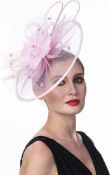 17 x Lucky Leaf Fascinators Hair Clip Hairpin Hat Feather Races Ball Wedding