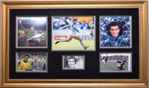Peter Shilton Original Signature Presentation.
