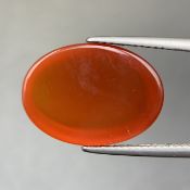 10.85 Cts Natural Carnelian Agate Cabochon
