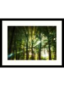 Eridgewood Framed Print By Paul Sanders 85cm x 65cm