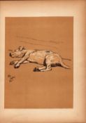 Cecil Aldin Antique Lovable Scamp of A Terrier Illustration A Dog Day -22.