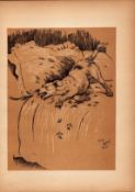 Cecil Aldin Antique Lovable Scamp of A Terrier Illustration A Dog Day -24.