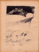 Cecil Aldin Original Vintage 88 Years Old Illustration How To Draw Dogs-6.