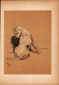 Cecil Aldin Antique Lovable Scamp of A Terrier Illustration A Dog Day -11.