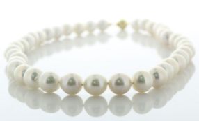 18 inch White Round 10.0 - 12.0mm Ming Pearl Necklace With 9ct Yellow Gold Clasp