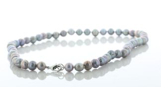 18 Inch Freshwater Cultured 7.0 - 7.5mm Pearl Necklace With Silver Plated Clasp