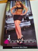 Lapdance Fencenet Mini Dress