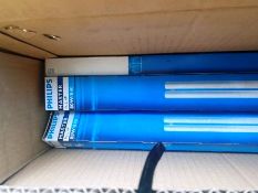 8X Philips 80W PL Lamps