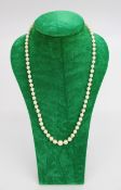 Cultured Pearl Necklace with 9ct Gold Clasp