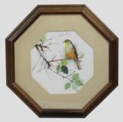 Bird Print Set in Octagonal Frame