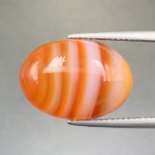 CTK-11, Natural Carnelian Agate Cabochon