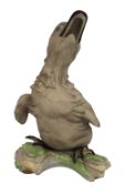 Bohem Cygnet Olor Standing