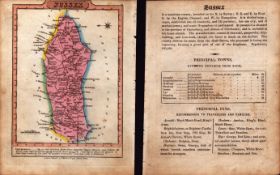 Sussex 200 Yr Old Engraved Hand Coloured George IV Antique Map & Text.