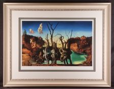 Salvador Dali 