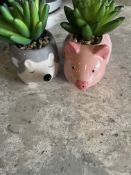2 x Ornaments