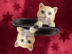 Cat Planters