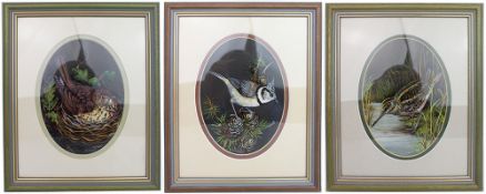 Group of 3 Fine Bird Paintings By Liz Garnett-Orme (British, Contemporary)