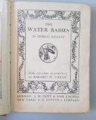 1st Edition Book Walter Babies By Charles Kingsley