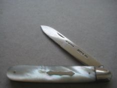 Rare Edwardian Mother of Pearl Hafted Saw Bladed Silver Fruit Knife