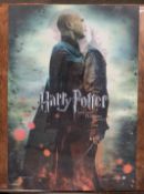 Rare Harry Potter and Voldemort Lenticular 3D Poster