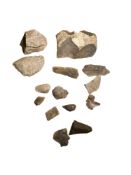 Group Neolithic Flint Scrapers and Off Cuts