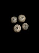 4 Mammoth Bone Beads