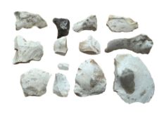 Antiquities: Neolithic Stone Flint Tools, Wiltshire