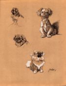 Cecil Aldin 1936 Vintage Dog Illustrations Selection of Pekinese-27.