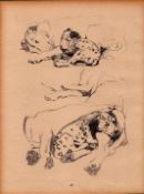 Cecil Aldin 1936 Vintage Dog Illustrations How to Draw Dogs-4.