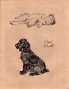 Cecil Aldin 1934 Vintage Dog Illustrations Chow and Spaniel-17.