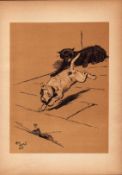 Cecil Aldin Antique Lovable Scamp of a Terrier illustration A Dog Day -6.