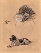 Cecil Aldin 1936 Vintage Dog Illustrations Setter and Sealyham-22.