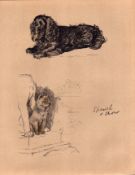 Cecil Aldin 1934 90 Year-Old Vintage Dog Illustrations Spaniel and Chow-10.