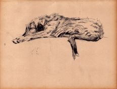 Cecil Aldin 1936 Vintage Dog Illustrations How to Draw Dogs-12.