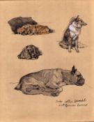 Cecil Aldin 1936 Vintage Dog Illustrations Pekes Collies German Boxer-16.