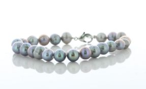 Freshwater Cultured 7.0 - 7.5mm Pearl Bracelet With Silver Plated Clasp