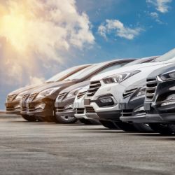 Plant, Automotive & Number Plates, Water Sports Equipment & More | Collective Auction