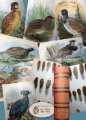 Antique 1896 Edition Game Birds Vol-1 Lloyds Natural History Ogilvie- Grant.