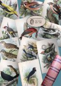 Antique 1896 Hardback Edition British Birds Vol-1 Lloyds Natural History.