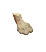 Antiquities: Roman Bronze Lions Foot (£6 UK £15 Int Post)