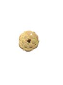 Antiquities: Copper Tudor Rose Mount (£6 UK £15 Int Post)