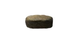 Ichthyosaur Dinosaur Fossil Vertebrae
