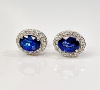 Beautiful Natural Unheated Blue Sapphire Earrings With Diamonds & Platinum