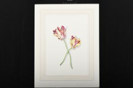Original Painting By Annabel Fairfax