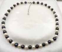 Cultured Pearl Necklace Silver Clasp New With Gift Pouch